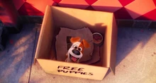 A young Max, abandoned in New York.