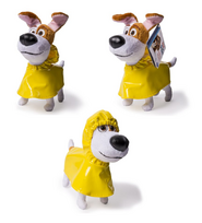 Max with Raincoat