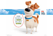 PetSmart-Secret-Life-of-Pets.Max-In-store