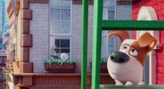 Secret-life-pets-disneyscreencaps.com-1550