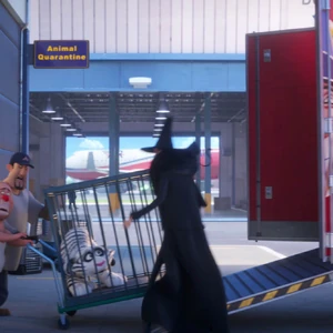 Sergei Gallery The Secret Life Of Pets Wiki Fandom