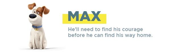 Max banner