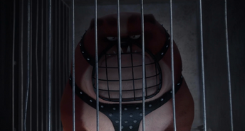 Ripper in cage