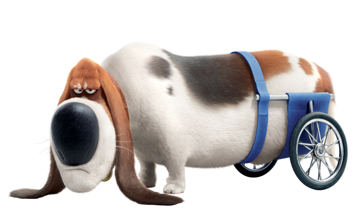 Hamster, The Secret Life of Pets Wiki