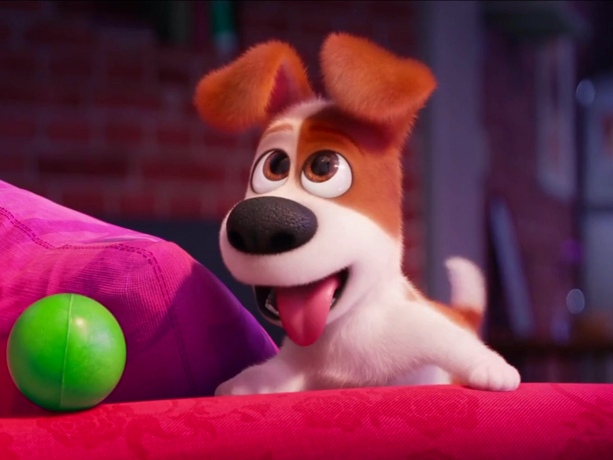 Max The Secret Life of Pets Wiki Fandom