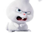 Snowball