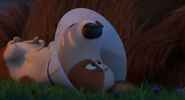 Secretlifeofpets2-animationscreencaps.com-4148