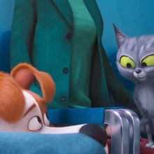 160 Secret Life Of Pets Pets 2 Ideas Secret Life Of Pets Secret Life Pets