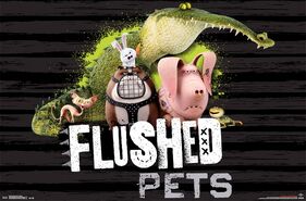 Flushed pets card