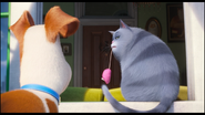 Chloe and max from the secret life of pets by lah2000 ddmbjx0