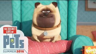 The Secret Life of Pets - Meet Mel (HD) - Illumination