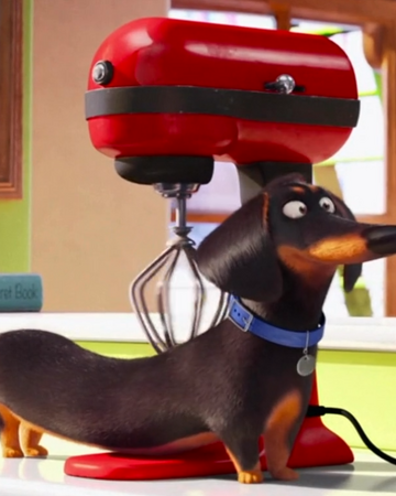 the secret life of pets wiki fandom
