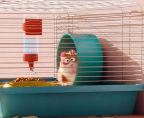 Hamster, The Secret Life of Pets Wiki