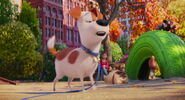 Secret-life-pets-disneyscreencaps.com-2157