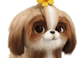 Daisy