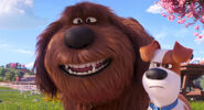 Secretlifeofpets2-animationscreencaps.com-5553