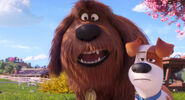 Secretlifeofpets2-animationscreencaps.com-5550