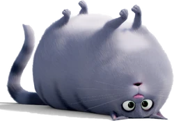 Chloe Gallery The Secret Life Of Pets Wiki Fandom