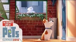 Hamster, The Secret Life of Pets Wiki