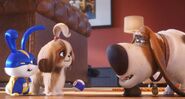 1049275-watch-secret-life-pets-2-celebrates-national-pets-day-new-trailer-snapchat-lenses