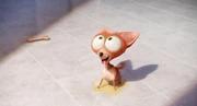 Pepe excited at seeing his owner.