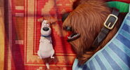 Secret-life-pets-disneyscreencaps.com-1515