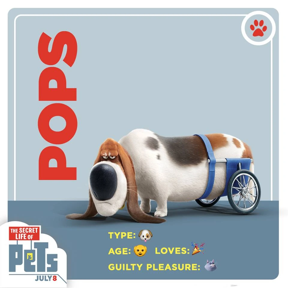 secret life of pets pops toy