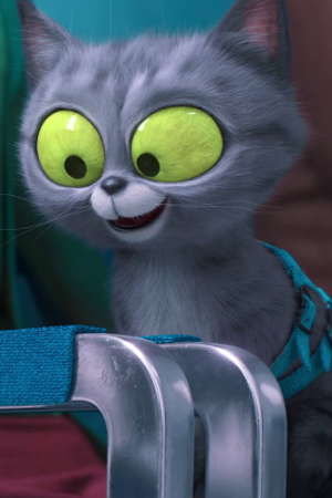 https://static.wikia.nocookie.net/secretlifeofpets/images/d/da/Crazy_Cat.PNG/revision/latest?cb=20210718145615