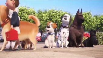 Mcdonalds the secret life of pets 2 shop