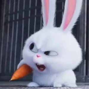 Snowball Gallery The Secret Life Of Pets Wiki Fandom