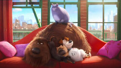 The secret life of pets mcdonalds toys hot sale