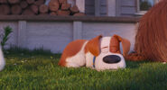 Secretlifeofpets2-animationscreencaps.com-7285