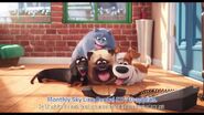 Max chloe mel buddy from the secret life of pets by lah2000 ddbf8c9