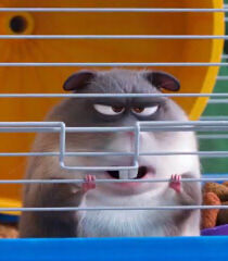 Hamster, The Secret Life of Pets Wiki