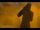 Secret World Legends Into the Fold with Good Idea, Bad Idea Achivement
