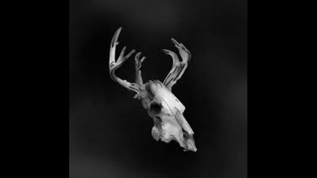 SCP 323 The Wendigo – The SCP Store