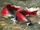 Redsalmon.png