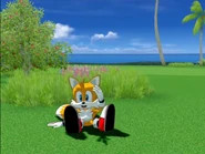 Tails as a caddy