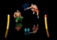 The fighting in action