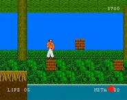 At one point Pole can eat a mushroom to get a larger sprite. It does nothing but give him a bigger hurtbox