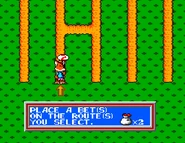Psycho-Fox-Mini-game.png (168 KB) The path betting mini game