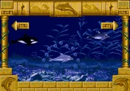 Character select. Ecco is in the middle.