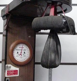 Punchingbag