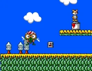 Psycho-Fox-Tiger-vs.-fly-boss.png (147 KB) Tiger Vs. Fly Boss