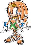 Tikal the Echidna