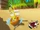 Wild-Woody-Shady-Lewd-Kart.png