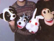 Plushes of the four original animals that were rewarded as a prize for a contest