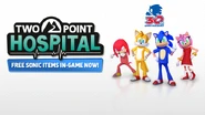 Sonic's 30th Anniversary celebration promotion