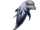 Ecco the Dolphin