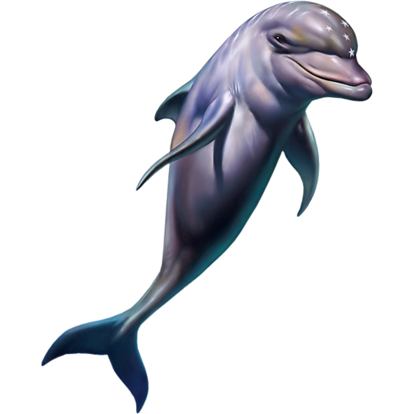 Dolphin - Wikipedia